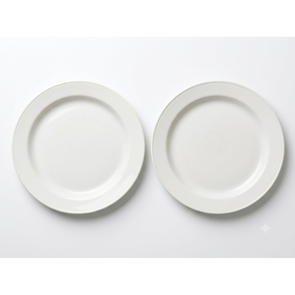 Steelite International Simplicity White Slimline Dinner Plates Set of 2 England